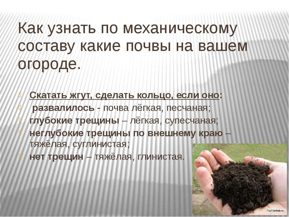 Как понять какая почва. Как определить почву. Как узнать какая почва в огороде. Как узнать состав почвы. Как узнать Тип почвы на участке.