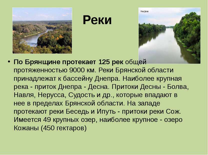 Реки По Брянщине протекает 125 рек общей протяженностью 9000 км. Реки Брянско...