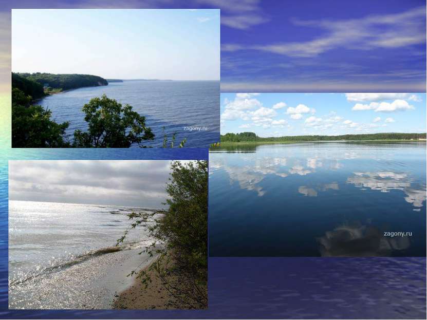 Значение озера ханка. Озеро ханка. Проект озеро ханка. Озеро ханка Приморский край. Озёрная котловина озера ханка.