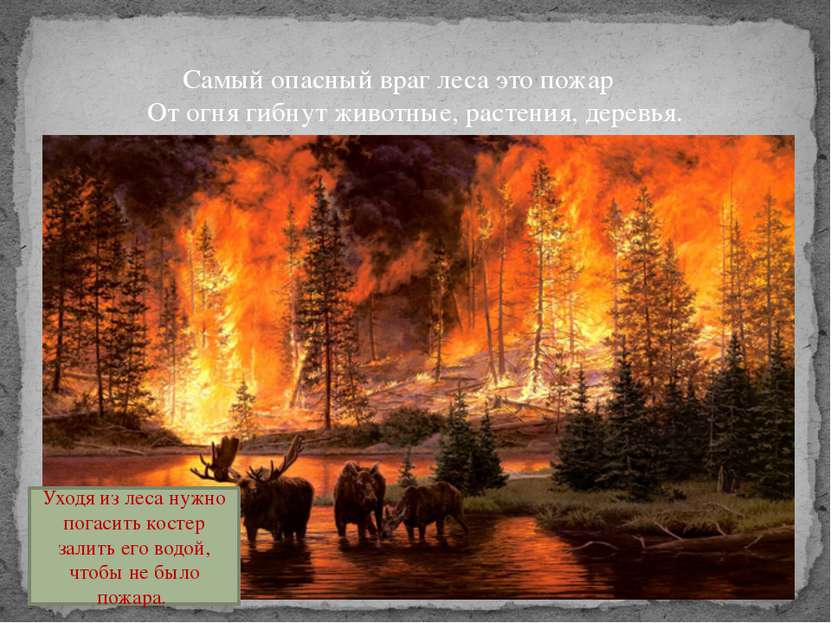 Самый опасный враг леса это пожар От огня гибнут животные, растения, деревья....
