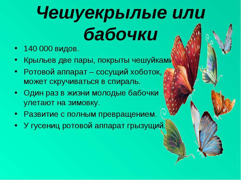 Чешуекрылые или бабочки 140 000 видов. Крыльев две пары, покрыты чешуйками. Р...