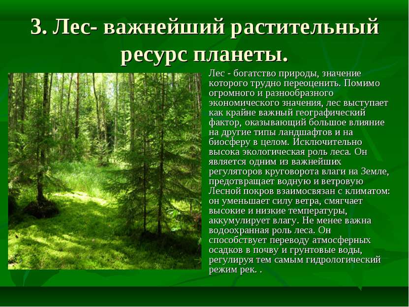 3. Лес- важнейший растительный ресурс планеты. Лес - богатство природы, значе...