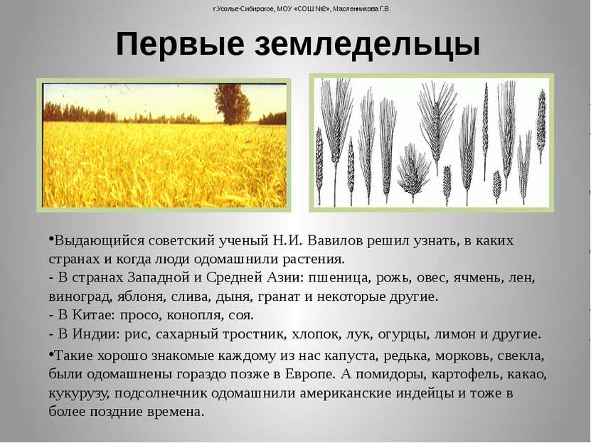 Выдающийся советский ученый Н.И. Вавилов решил узнать, в каких странах и когд...