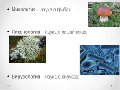 Микология – наука о грибах. Лихенология – наука о лишайниках. Вирусология – н...
