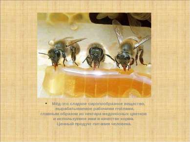 Мёд-это сладкое сиропообразное вещество, вырабатываемое рабочими пчёлами, гла...