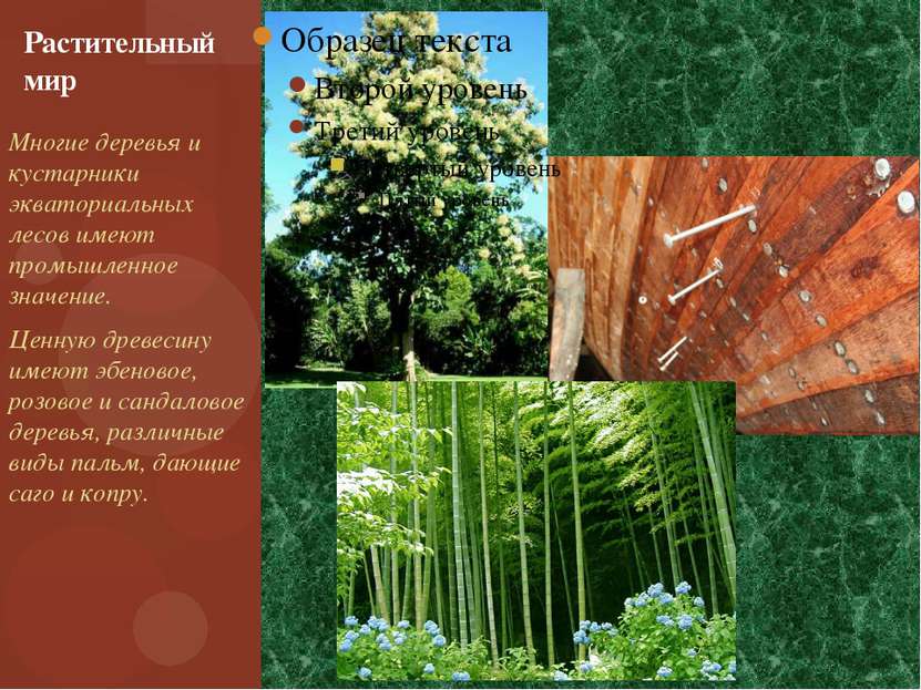 Многие деревья и кустарники экваториальных лесов имеют промышленное значение....