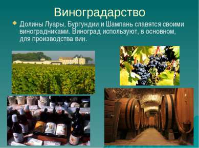 Виноградарство Долины Луары, Бургундии и Шампань славятся своими виноградника...