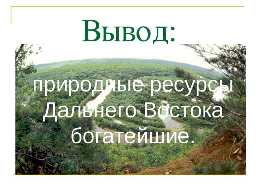 Вывод: природные ресурсы Дальнего Востока богатейшие.