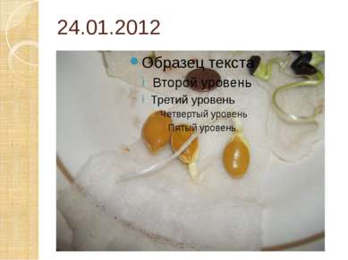 24.01.2012