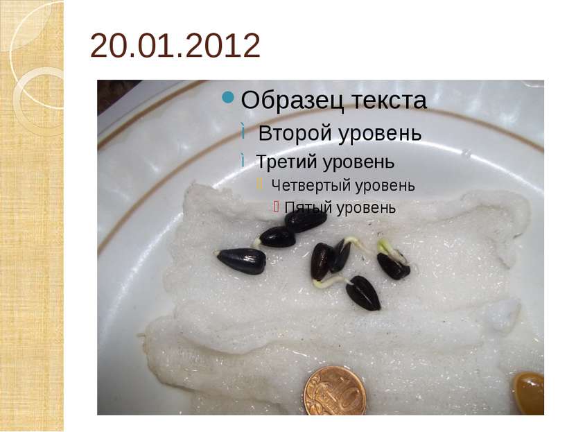 20.01.2012