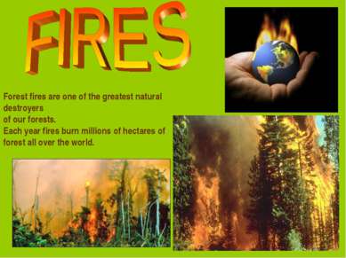Forest fires are one of the greatest natural destroyers of our forests. Each ...