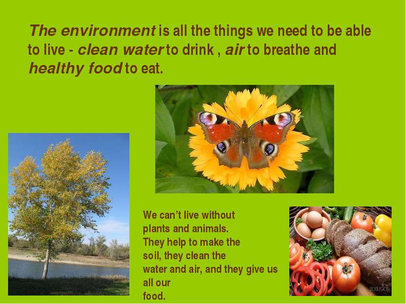 The environment is all the things we need to be able to live - clean water to...