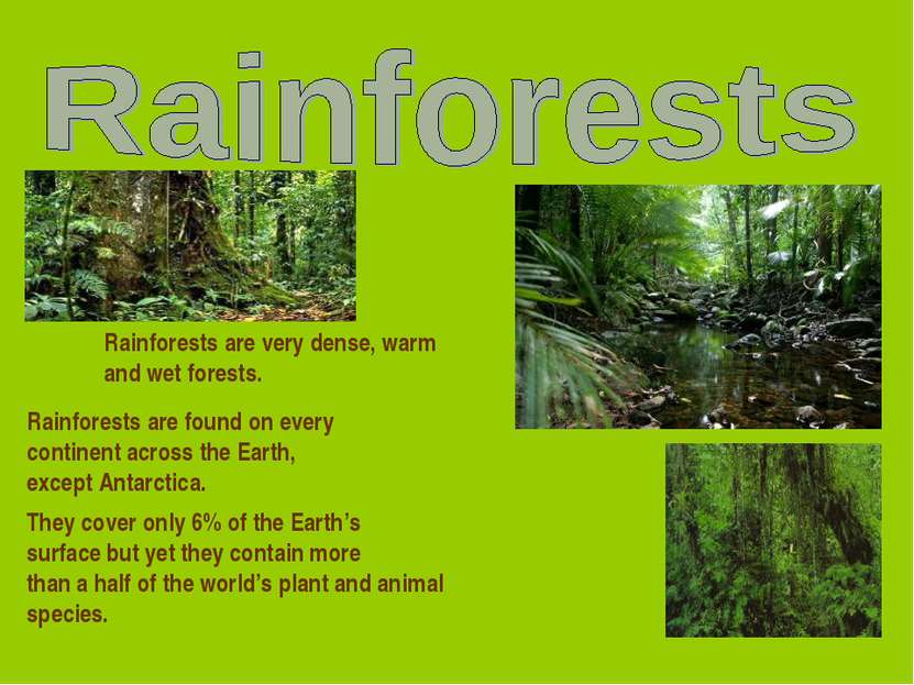 Rainforests are very dense, warm and wet forests. Rainforests are found on ev...