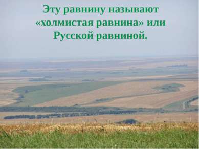 Эту равнину называют «холмистая равнина» или Русской равниной.