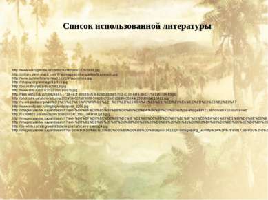 Список использованной литературы http://www.vokrugsveta.ru/photo/thumbnails/1...