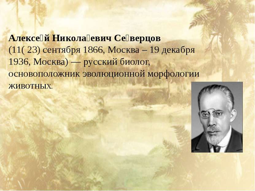 Алексе й Никола евич Се верцов  (11( 23) сентября 1866, Москва – 19 декабря 1...