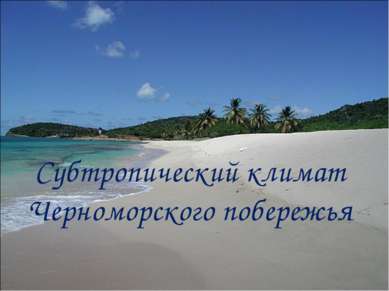 Субтропический климат Черноморского побережья