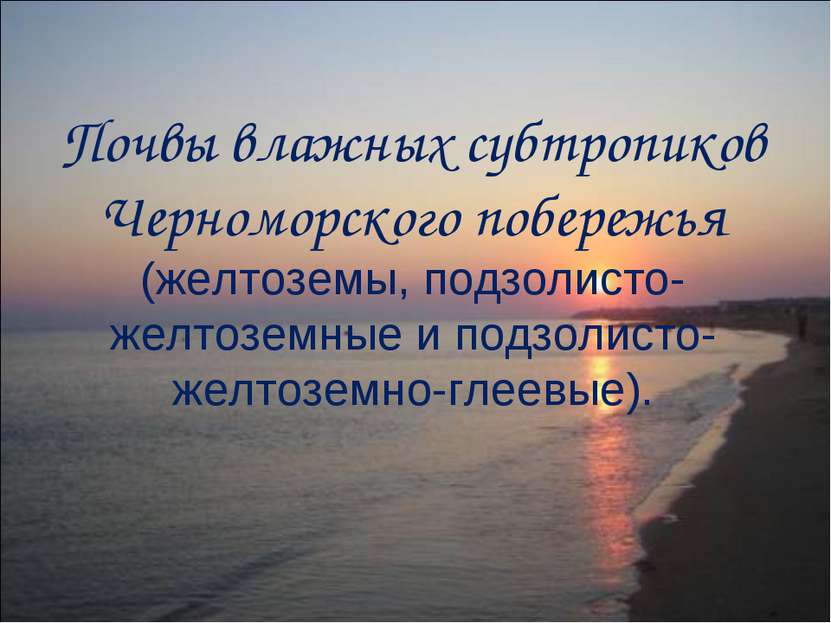 Почвы влажных субтропиков Черноморского побережья (желтоземы, подзолисто-желт...