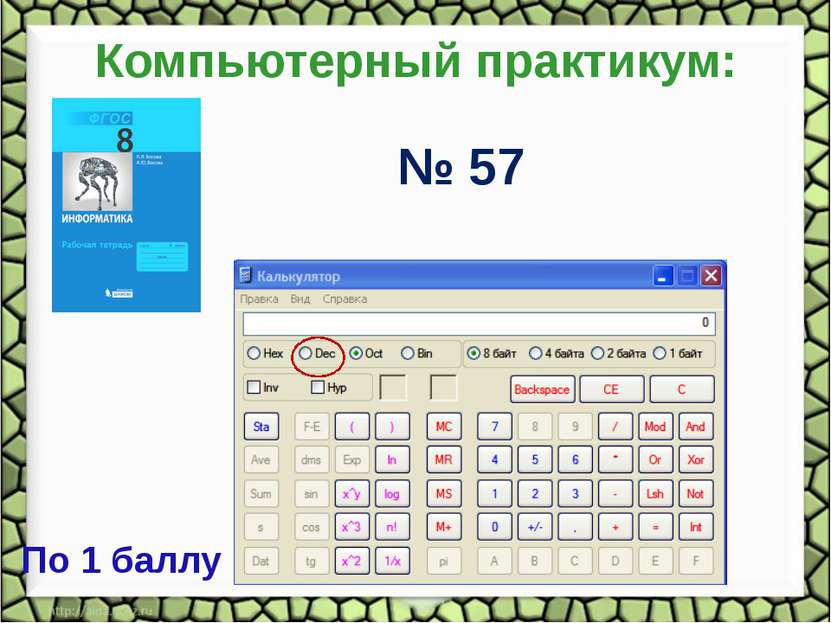 Компьютерный практикум: № 57 По 1 баллу