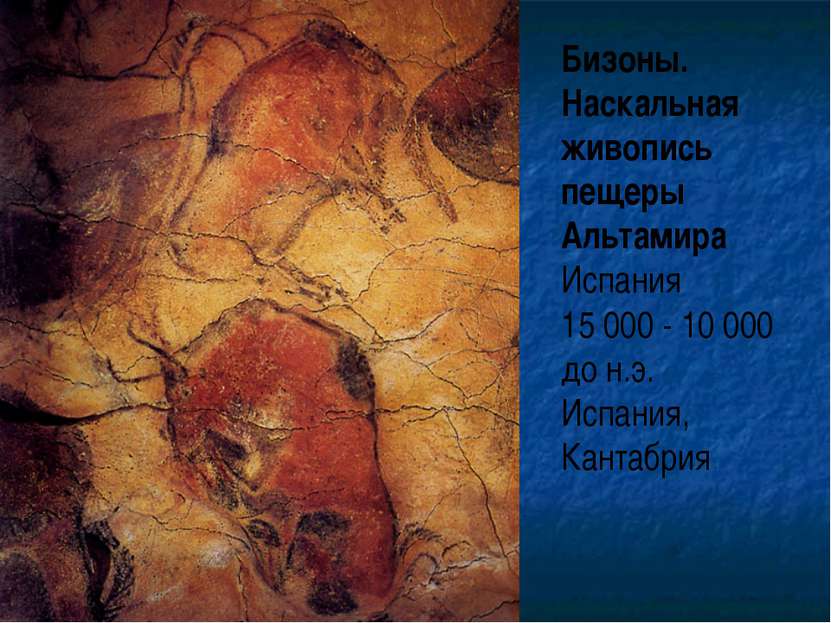 Бизоны. Наскальная живопись пещеры Альтамира Испания 15 000 - 10 000 до н.э. ...