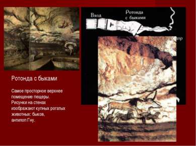 Ротонда с быками Самое просторное верхнее помещение пещеры. Рисунки на стенах...