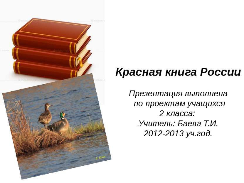 Красная книга России Презентация выполнена по проектам учащихся 2 класса: Учи...