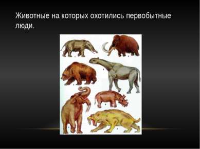 Животные на которых охотились первобытные люди.