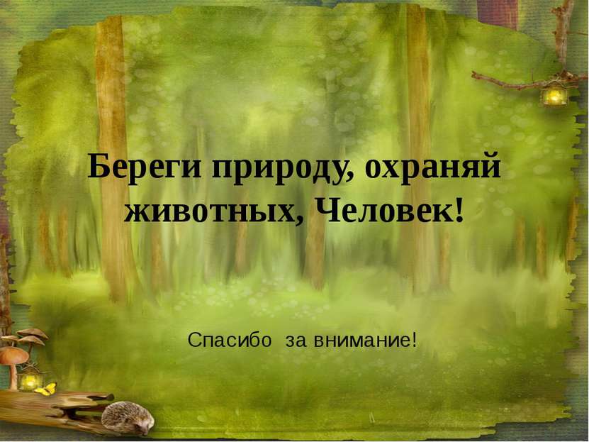 Спасибо за внимание берегите природу картинки для презентации