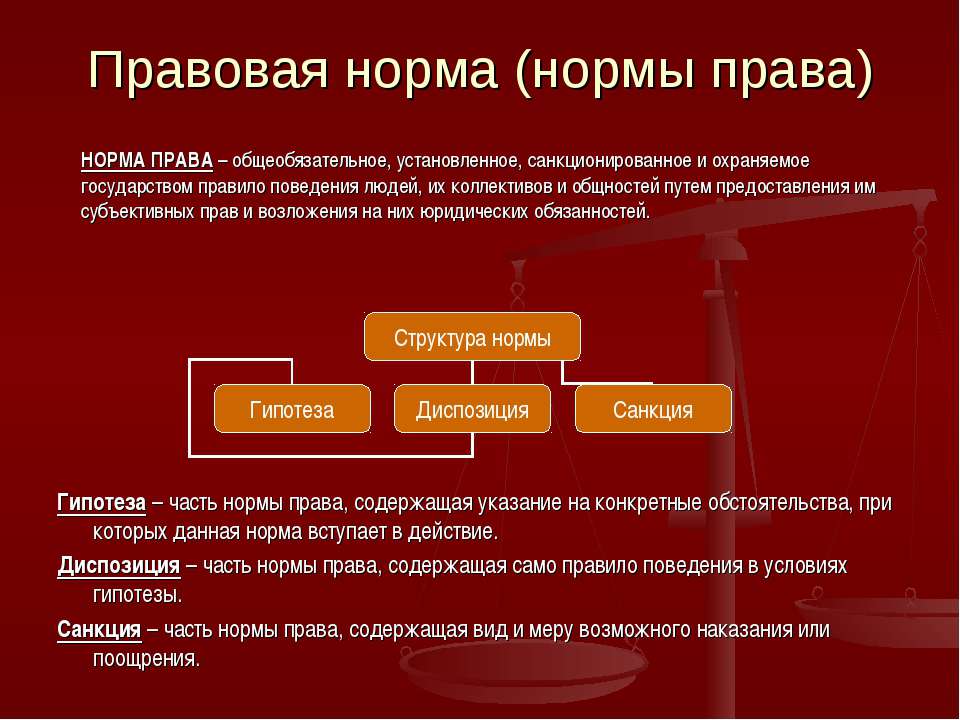 Структура обязывающих норм