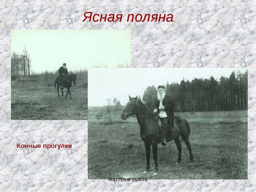 Ясная поляна Конные прогулки http://pyat-pyat.ru http://pyat-pyat.ru