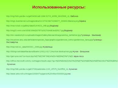 Использованные ресурсы: http://img-fotki.yandex.ru/get/5408/cadi-1986.527/0_8...