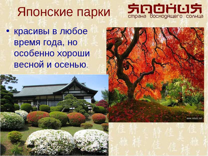 Японские парки красивы в любое время года, но особенно хороши весной и осенью.