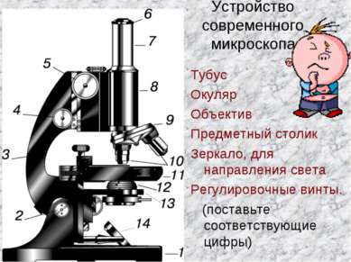 Устройство современного микроскопа Тубус Окуляр Объектив Предметный столик Зе...