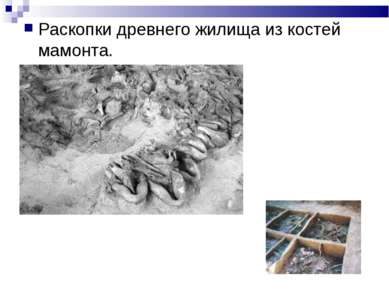 Раскопки древнего жилища из костей мамонта.