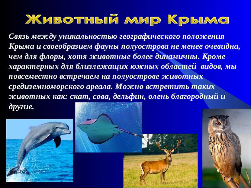 Связь между уникальностью географического положения Крыма и своеобразием фаун...