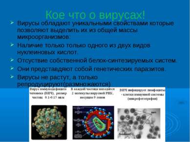 Кое что о вирусах! Вирусы обладают уникальными свойствами которые позволяют в...