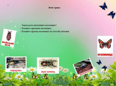 Итог урока - Какую роль выполняют насекомые? – Назовите признаки насекомых. –...