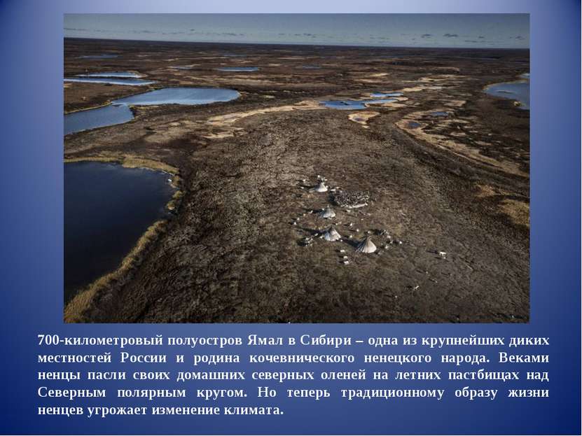 700-километровый полуостров Ямал в Сибири – одна из крупнейших диких местност...