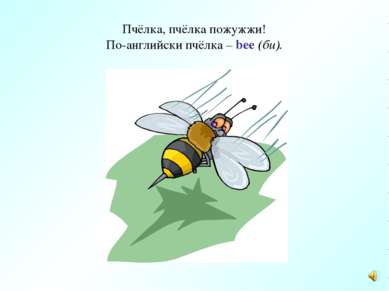 Пчёлка, пчёлка пожужжи! По-английски пчёлка – bee (би).