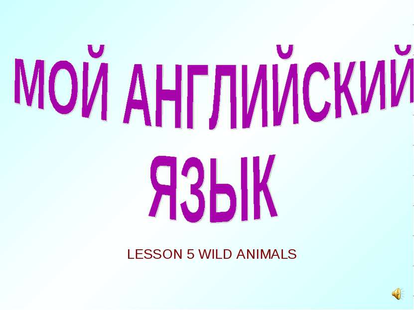 LESSON 5 WILD ANIMALS