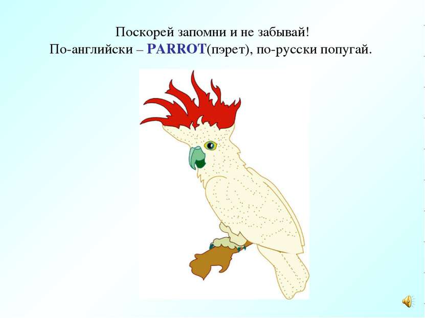 Поскорей запомни и не забывай! По-английски – PARROT(пэрет), по-русски попугай.
