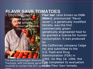 FLAVR SAVR TOMATOES Flavr Savr (also known as CGN-89564-2; pronounced "flavor...