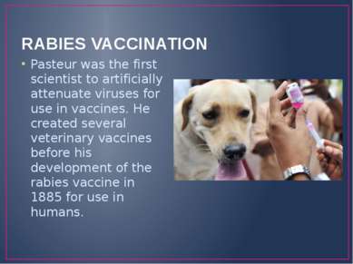 RABIES VACCINATION Pasteur was the first scientist to artificially attenuate ...