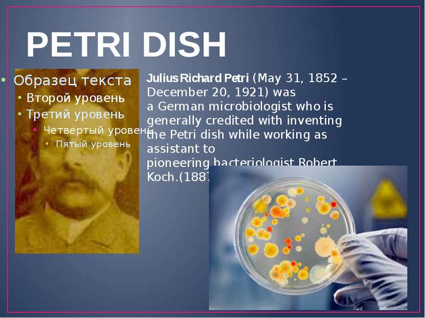 PETRI DISH Julius Richard Petri (May 31, 1852 – December 20, 1921) was a Germ...