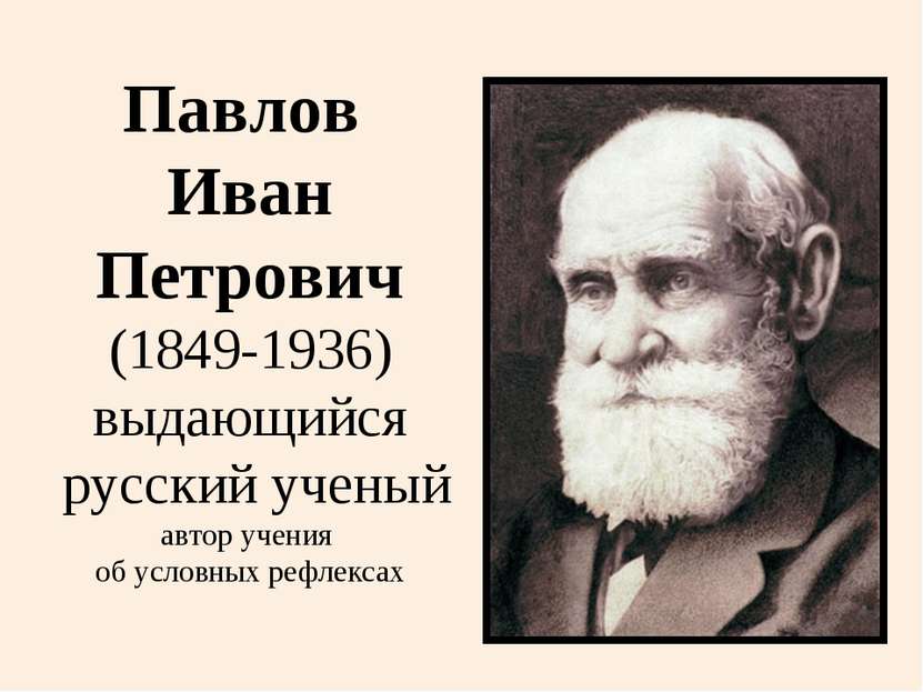 Павлов Иван Петрович (1849-1936) выдающийся русский ученый автор учения об ус...