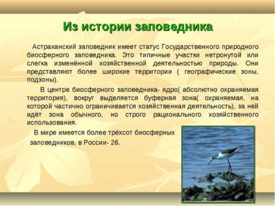 Из истории заповедника Астраханский заповедник имеет статус Государственного ...