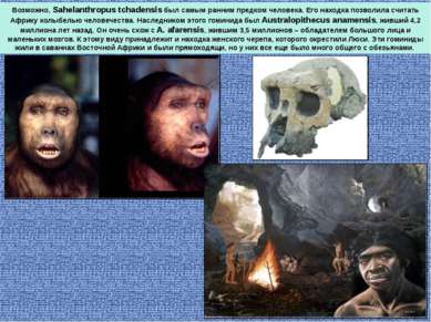 Возможно, Sahelanthropus tchadensis был самым ранним предком человека. Его на...