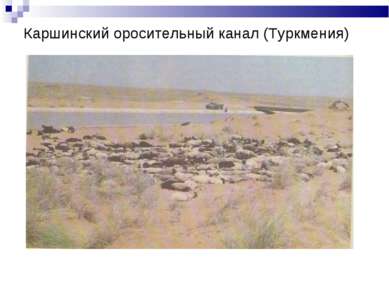 Каршинский оросительный канал (Туркмения)