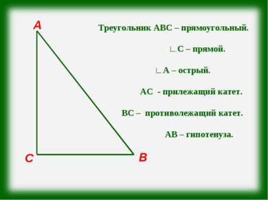 С В А Треугольник АВС – прямоугольный. ∟С – прямой. ∟А – острый. АС - прилежа...