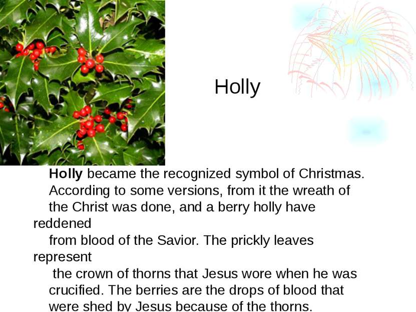Holly became the recognized symbol of Christmas. According to some versions, ...